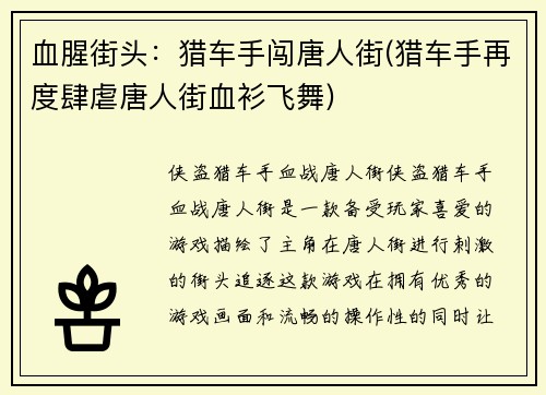 血腥街头：猎车手闯唐人街(猎车手再度肆虐唐人街血衫飞舞)